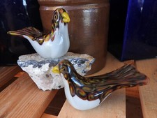 Oiseaux pigeon pâte d'occasion  Le Cannet
