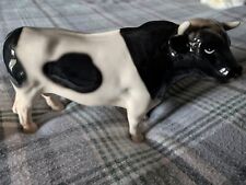 Black white bull for sale  TURRIFF