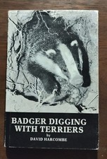 Badger digging terriers for sale  CHULMLEIGH