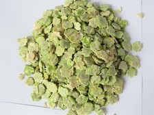 Natural flaked peas for sale  SCUNTHORPE
