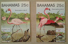 Cartes jour 1982 d'occasion  Prunelli-di-Fiumorbo