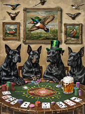 Cane corso playing for sale  DUNSTABLE