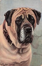 Bullmastiff dog puppy for sale  Palm Bay