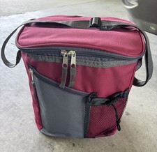 Insulated lunch bag for sale  Prairieville