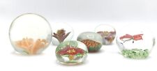 Collezione murrine veneziane usato  Oricola