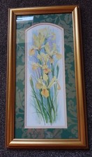 Golden irises adelene for sale  GLOSSOP