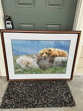 framed art bears photographed for sale  Belton