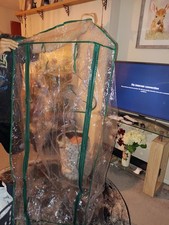 Green house replacement for sale  BANBURY