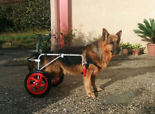 Carrello veterinario sedia usato  Poggibonsi