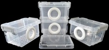 Clip insect egg for sale  ORMSKIRK