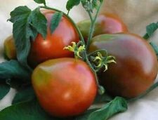 Semi pomodoro tartufo usato  Reggio Calabria