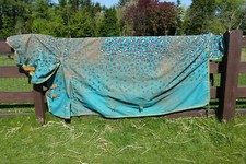 Shires highlander teal for sale  FORFAR