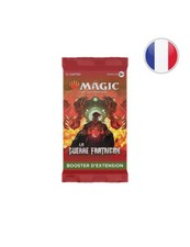 Magic booster guerre d'occasion  Avignon