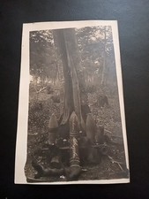 Riginal foto amerikanische gebraucht kaufen  Großröhrsdorf