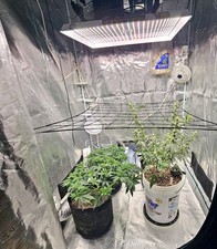 4x4 indoor grow for sale  Gloucester