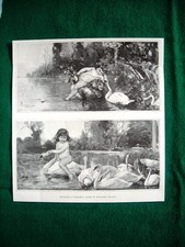 1895 seduzione conquista usato  Villarosa
