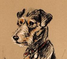 Lakeland terrier original for sale  MOLD