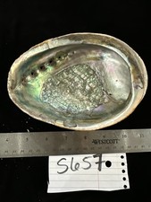 Vintage abalone shell for sale  Warner Robins
