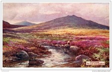 Grande bretagne dartmoor d'occasion  France