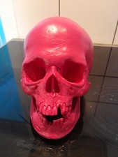 Totenkopf pink kunststoff gebraucht kaufen  Neustadt b.Coburg
