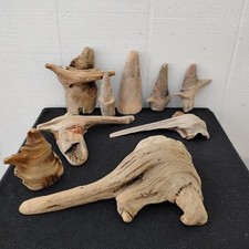 Small driftwood pine for sale  Brookings