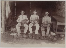 cuban cigars for sale cuban cigars for sale Warren