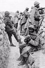Ww1 photo tirailleur d'occasion  Caen