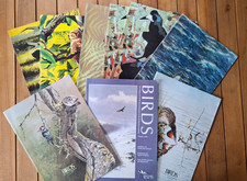 Rspb birds magazines for sale  SUDBURY