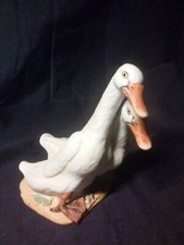 Pair geese for sale  Slatington