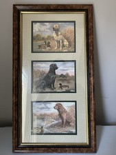 Framed labrador retriever for sale  Sadieville
