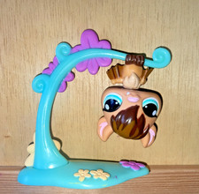 Petshop chauve souris d'occasion  Pfastatt