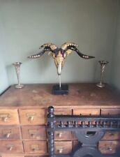 Vintage kapala taxidermy for sale  KINGSWINFORD