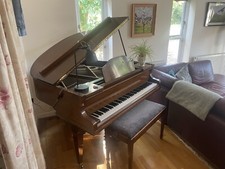 Danemann baby grand for sale  COLCHESTER