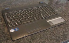 Genuine acer extensa for sale  SEVENOAKS