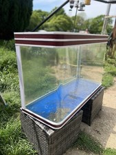 200 litre fish for sale  MAIDSTONE