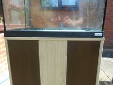 Fluval roma fish for sale  WORCESTER