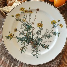 Botanica speiseteller hne gebraucht kaufen  Überherrn