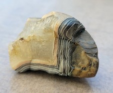 Fairburn agate rock for sale  Edgemont
