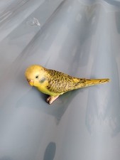 Schleich green budgie for sale  PONTEFRACT