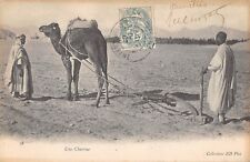 Cpa algerie charrue d'occasion  Claira
