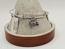 Alex ani silver for sale  West Columbia