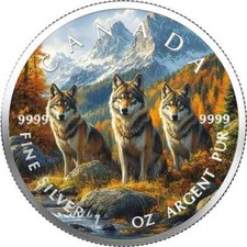 Unze 999 silber gebraucht kaufen  Berlin