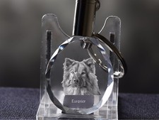Eurasier chien cristal d'occasion  Expédié en France