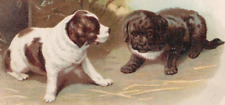 1880 lion coffee for sale  Muncie
