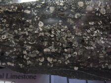 Carboniferous crinoidal limest d'occasion  Expédié en Belgium