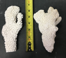 Vintage natural white for sale Vintage natural white for sale  Ormond Beach