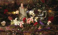 Richard schmid carnations for sale  Duxbury