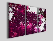 Quadri colorati foglie usato Quadri colorati foglie usato  Pontecagnano Faiano