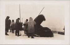 Rppc postcard baleen for sale  Collegeville