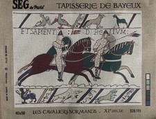 Superbe canevas seg d'occasion  Argenteuil